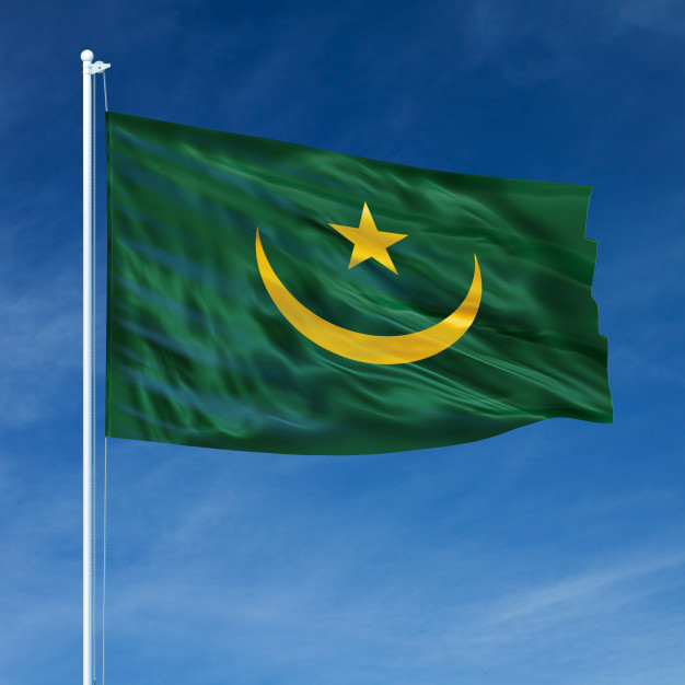 Зеленый флаг с луной. Флаг Мавритании 2022. Флаг Мавритании 2023. Флаги с полумесяцем. Флаг с полумесяцем и звездой.
