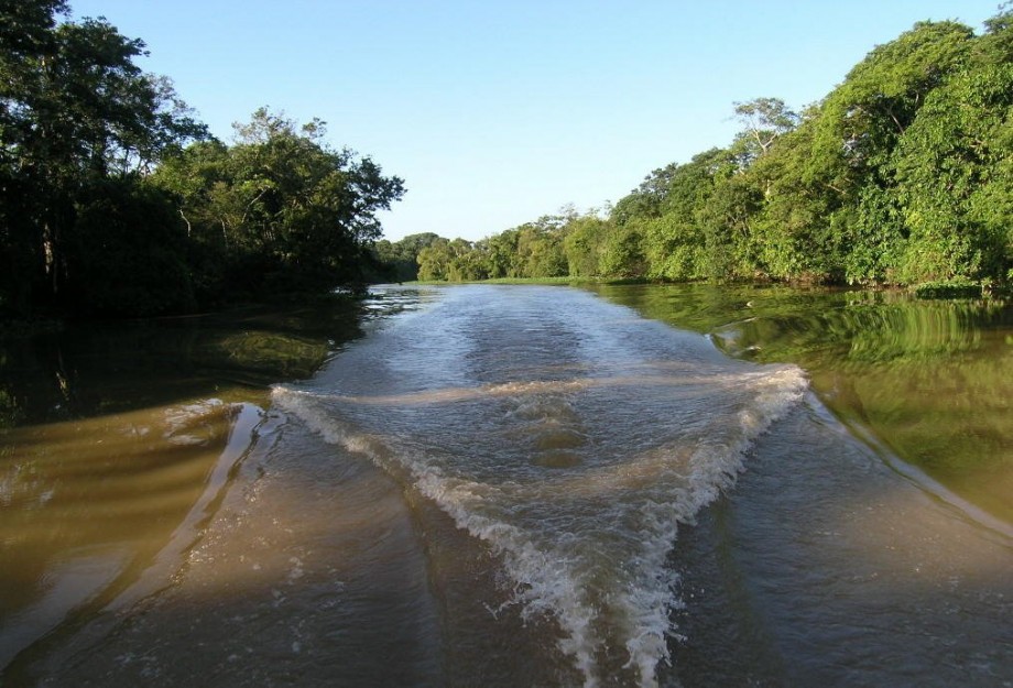 Реки и озера нигерии. Река нигер в Нигерии. Излучина реки нигер. Река Бенуэ Камерун. Реки Нигерии.
