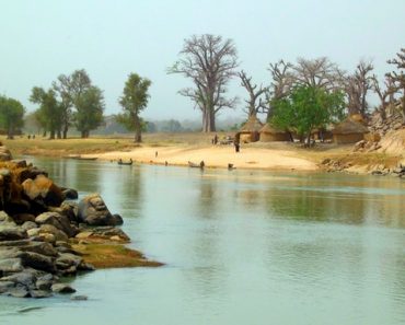 Цікаві факти про річку Нігер