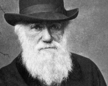 Цікаві факти про Дарвіна