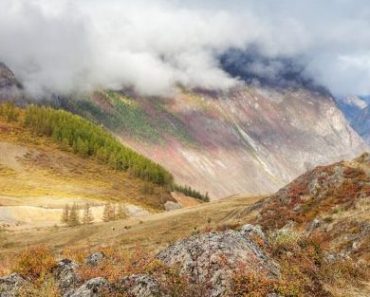Цікаві факти про Алтайські гори
