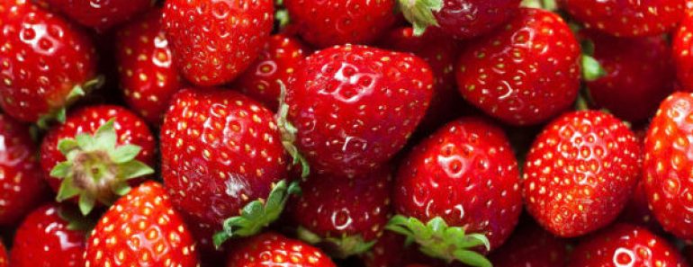 Цікаві факти про полуницю