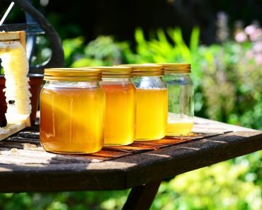 Цікаві факти про мед
