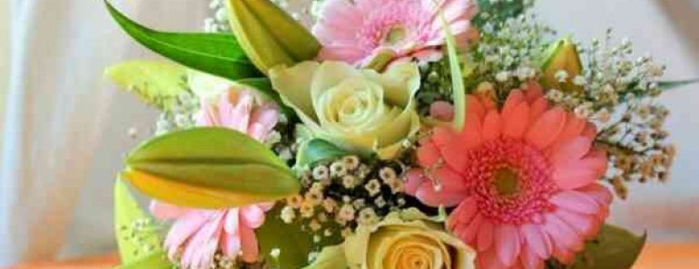 27 цікавих фактів про квіти 27 цікавих фактів про квіти