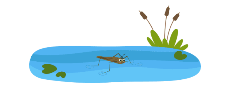 Поверхневий натяг