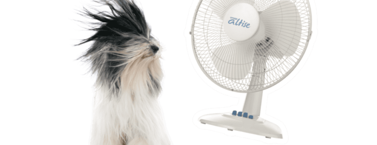 Закон Джоуля-Ленца