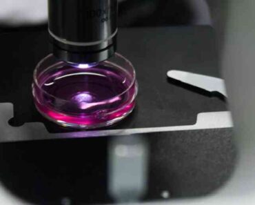 Вчені вперше виявили частинки мікропластика в людській крові