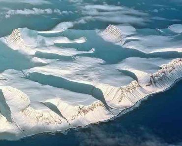 20 цікавих фактів про Арктику